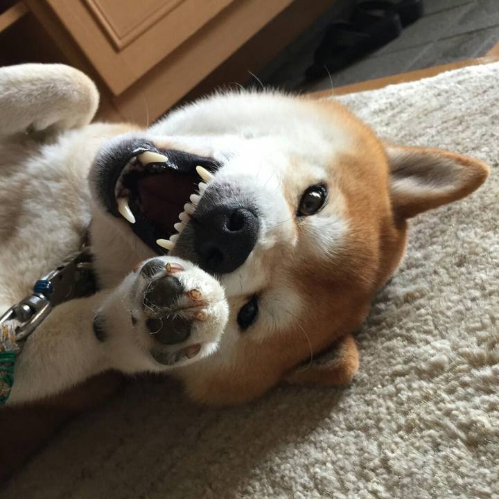 06a2daba dedc 4e60 99d7 a6f046f0e9e6