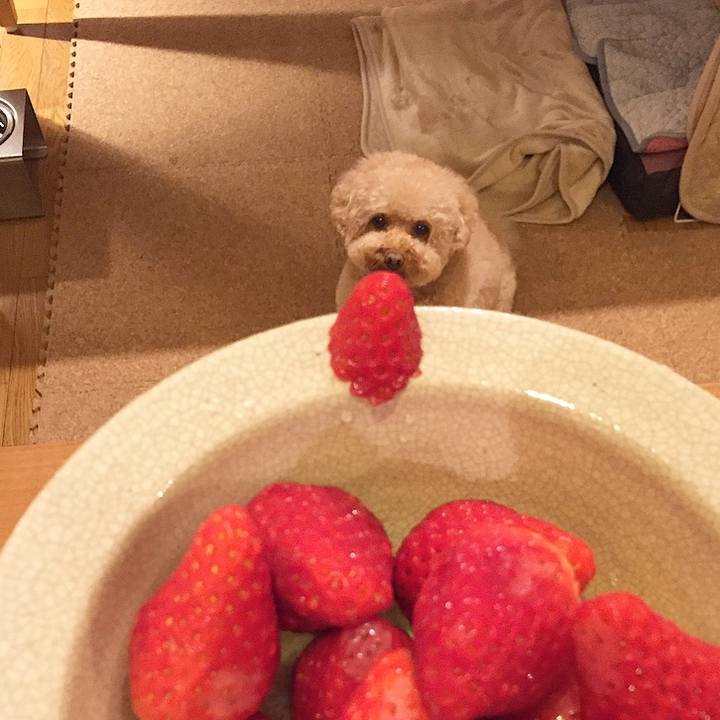 06a35b4b 1571 4d0c 8579 768d38c15809