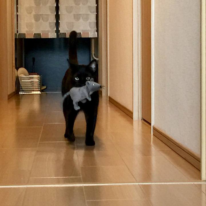 06a4298f 58eb 448a bf30 529ed9043eb8