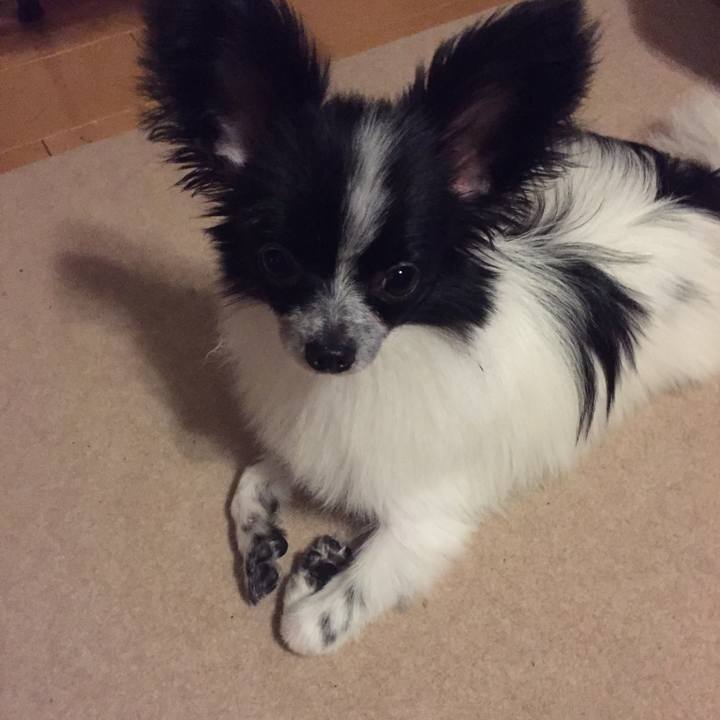 06a46a18 5f3d 4bc0 92aa 3b6c155d1581