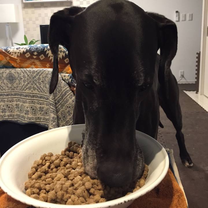 06a4c1f0 9e48 44a5 b26f f834d0c63d68