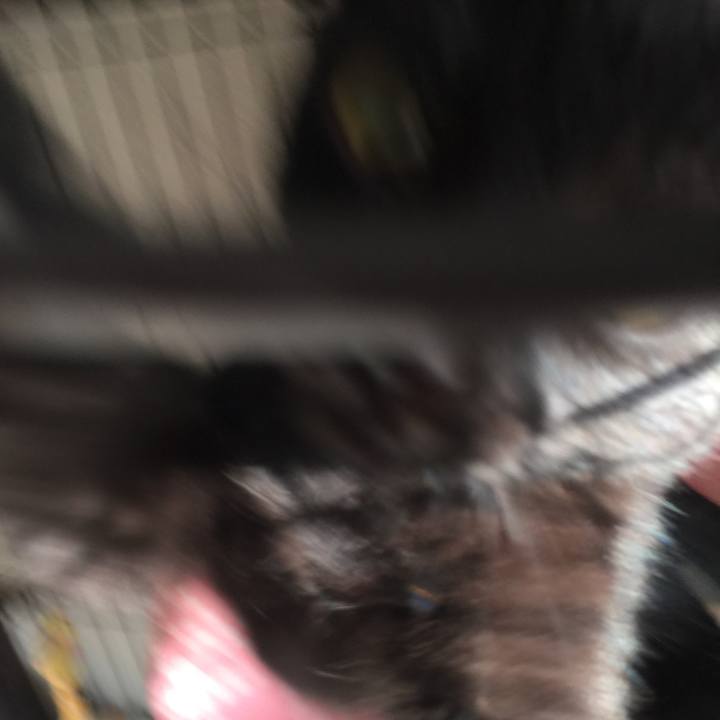 06a540d0 fb58 4b73 ae2a 59dcd5fc91e9