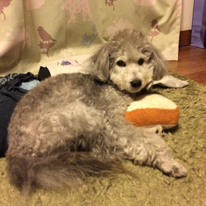 06a57ae8 d92a 4389 a40e 484756ac6401