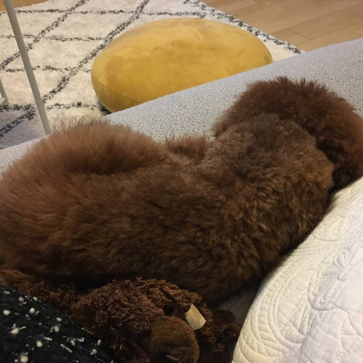 06a67eb5 4ada 4187 923b 0c7dc68092f6