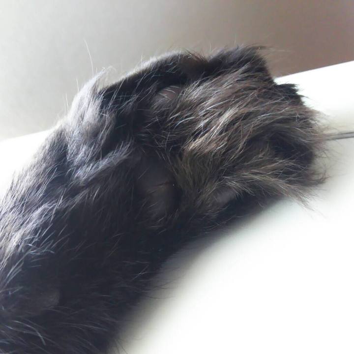 06a696b8 f1a0 4539 9d05 70e9827307e6