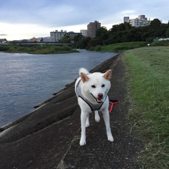 06a6c8c7 e9f1 4b1a 889d dd956e207021