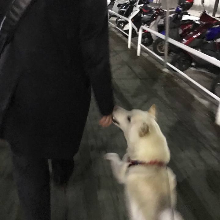 06a78557 e9d0 48c1 83aa 659926428683