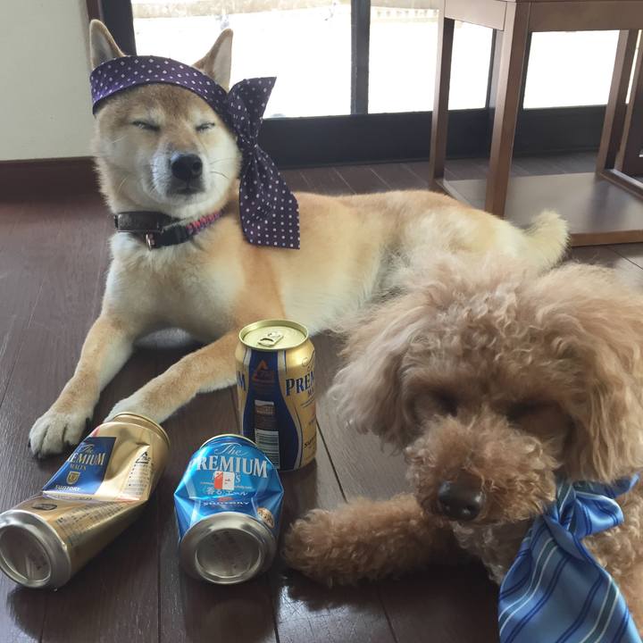 06a7a92e d6ed 4699 afa9 82dd67024b4e