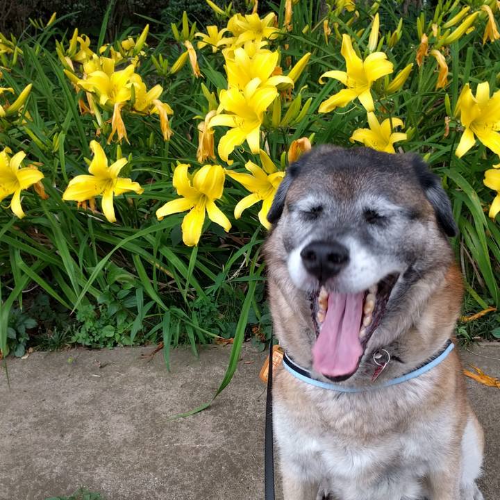 06a7cb2b 911b 49c6 8a41 91f89acb583c