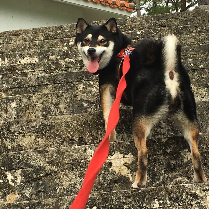 06a82259 0687 4f3e b0ce 0b898d8f2aee