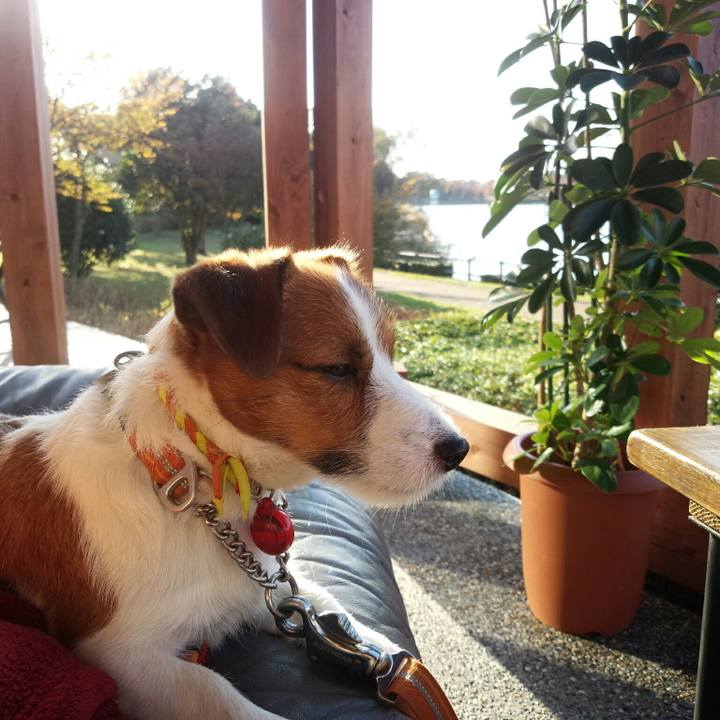 06a8388c ba91 42df 8110 767581ae4515