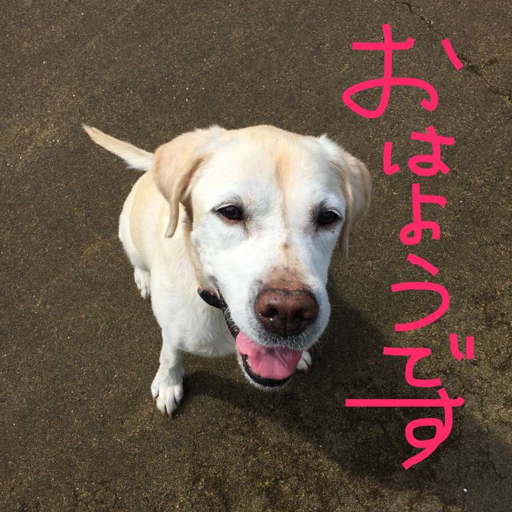 06a8a12f a77a 48ef a436 ef070c38d09b