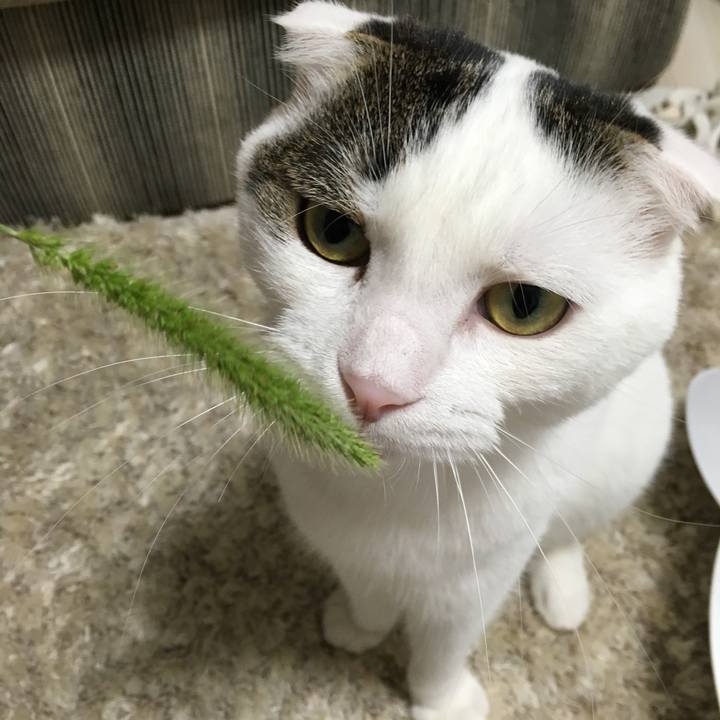 06a90dd3 c7a5 4a51 8f6c 7f400d603062