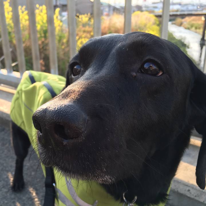 06a940ac 368c 4447 bfa9 849a5c3ede88