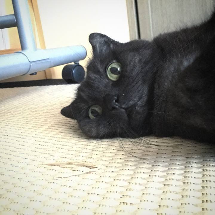 06abb96f ce0a 4004 b430 884955527add