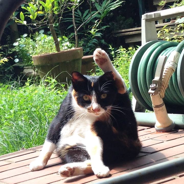 06acb462 17a1 4e1a 9931 2a8f9da431f7