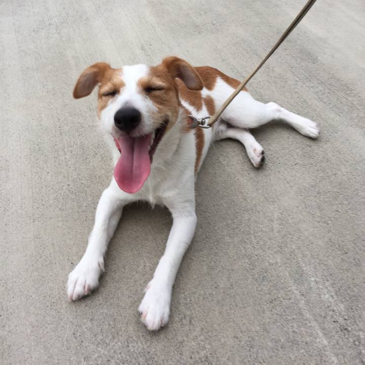 06ae1fb2 4a9e 4655 a5d1 75ac775afb02