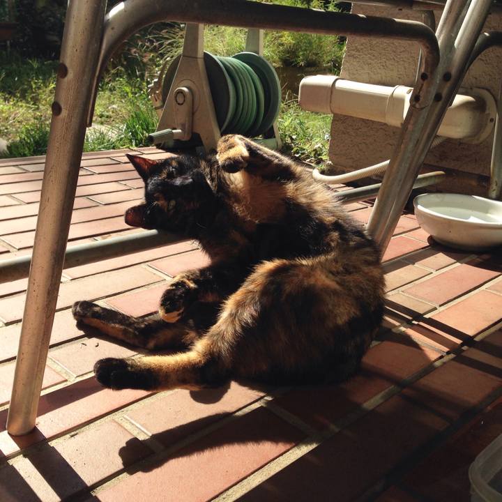 06ae689c 972f 48f5 be6c 1612e3440074