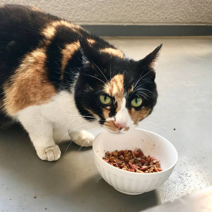 06af3310 194a 4ce7 abba e8cc855549f3