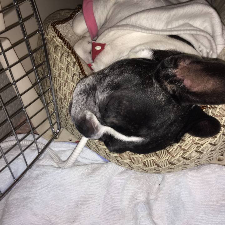 06af52ca 8364 439d 8183 81b0f8b635ca