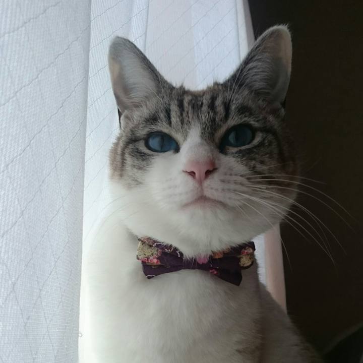 06b01aaf 19ba 4545 95c2 6d0ece310a92