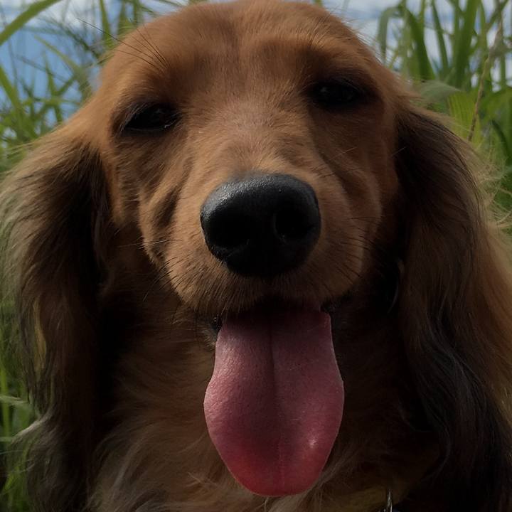 06b0a4bc 16fb 474c 8ae6 0d8aa48f79a4