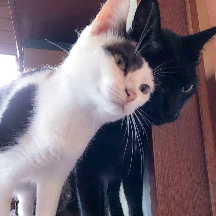 06b19e44 e8c5 43c1 b6df 693f3f307270