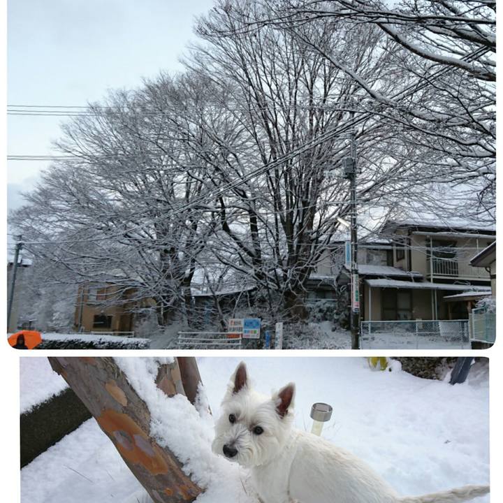 06b20850 d8c6 4f2d b8ff 3929b126f155