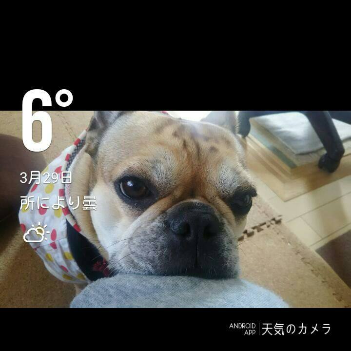 06b304c5 405a 4b5f 8b2c f2132757e0f0