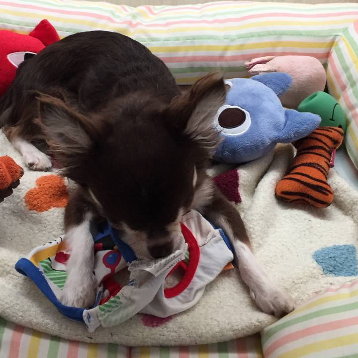 06b333cb cd9b 4695 8158 9060b38a85bc