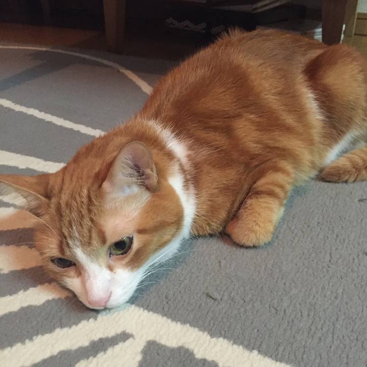 06b38f08 d026 4d3d 9c46 fddab233e2b0