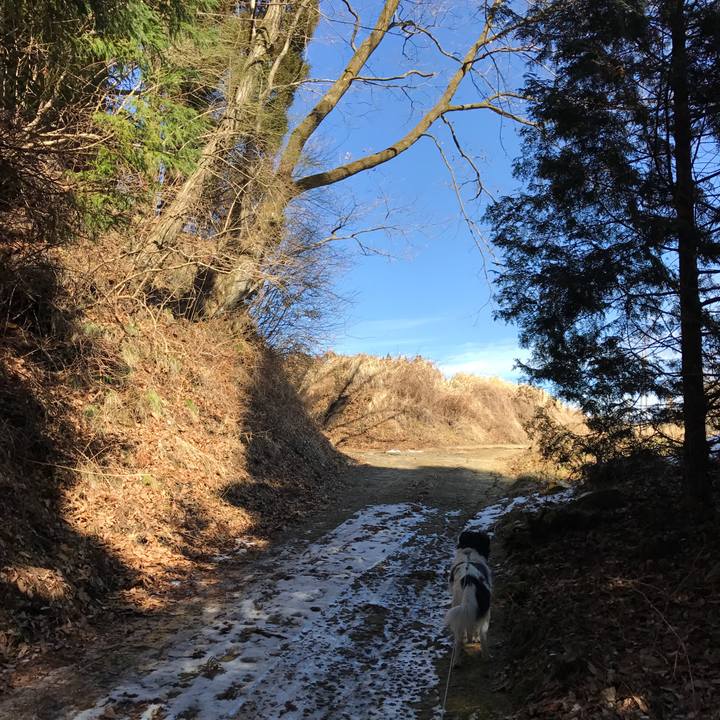 06b471d8 6ced 4d4f b0f4 e62f61cea770