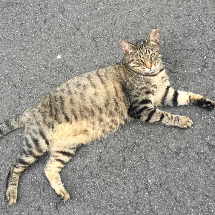 06b4b150 367e 41f8 90a5 9739501a9b22