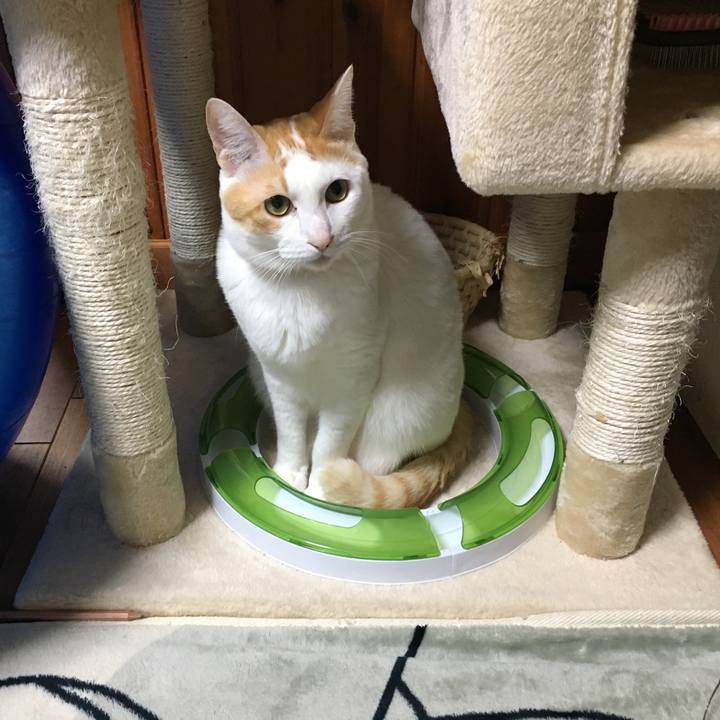 06b4c4f1 5bdc 4b79 84df 730e64e549d9