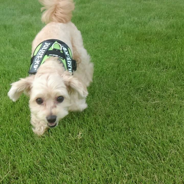 06b55662 8186 4c54 b0b9 d6b846836b87