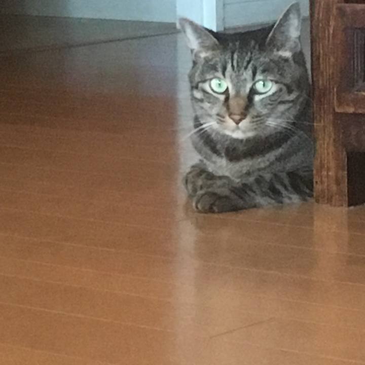 06b55e84 0452 4c46 b7bd 7d1a4e20bdcf