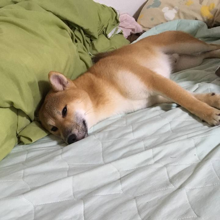 06b60631 ef6e 4cc3 b64a 6d2e8e04ea14