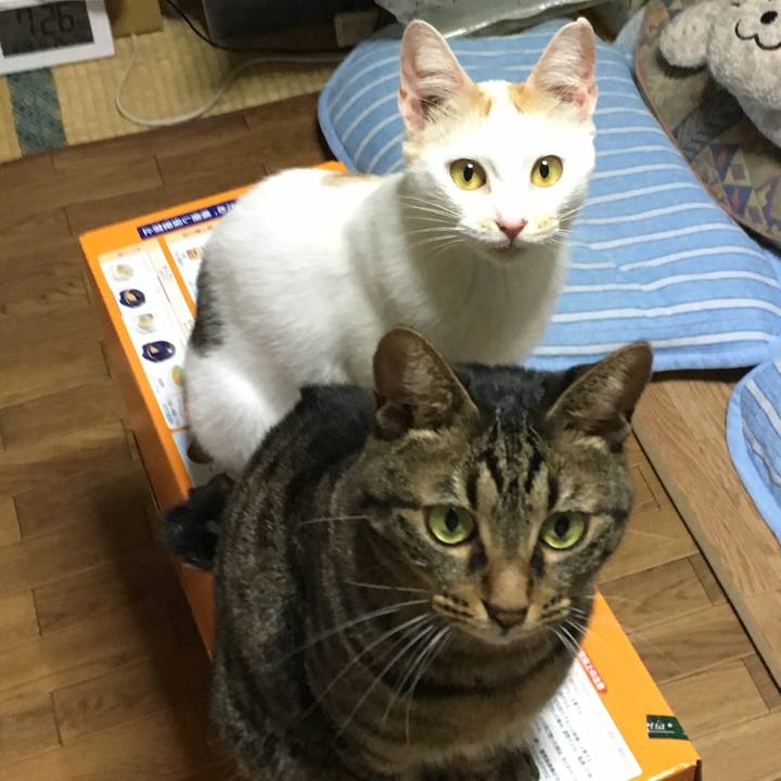 06b631b1 c16b 4820 9ecc 528272d847b3