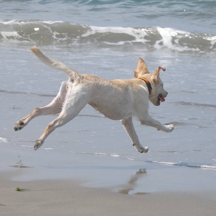 06b741aa 68c6 47d5 95c1 5c9eb707f098