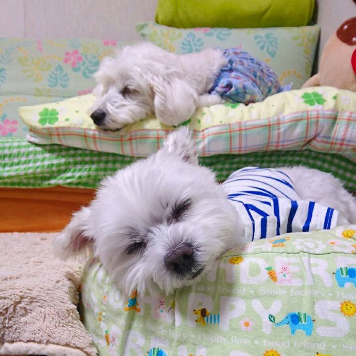 06b77689 90a7 48da b33b 4e66e2946329