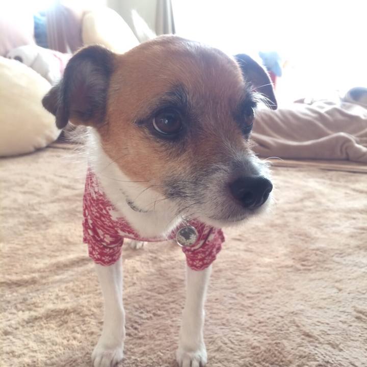 06b905c5 054c 4b15 8f3e 316c72af241c