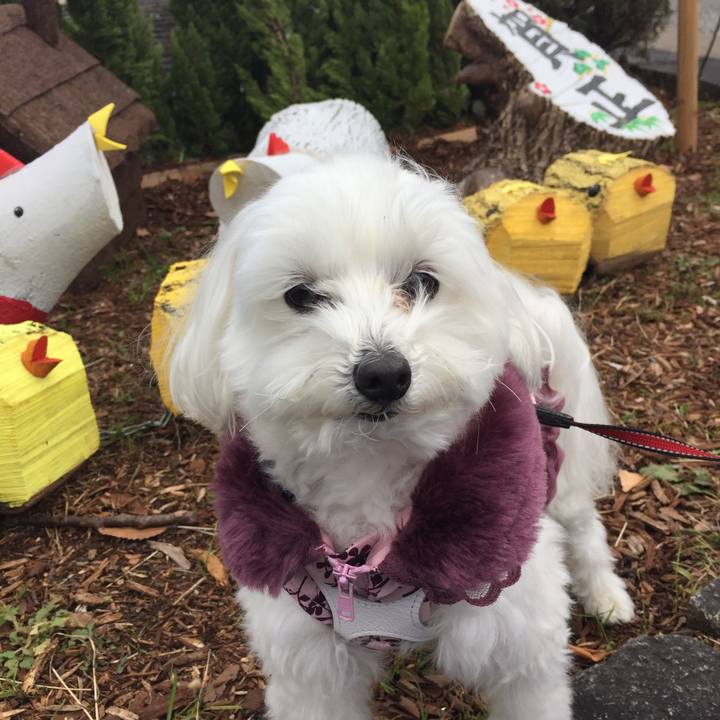 06b9d976 c157 4a16 9714 c41ea0334d6a