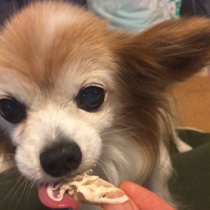 06ba2bed 385d 4d86 a050 560d1abae4af