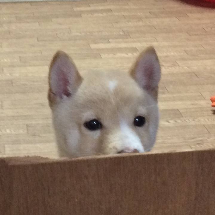 06ba9192 3755 4693 b0bc f4c46f8ec99c