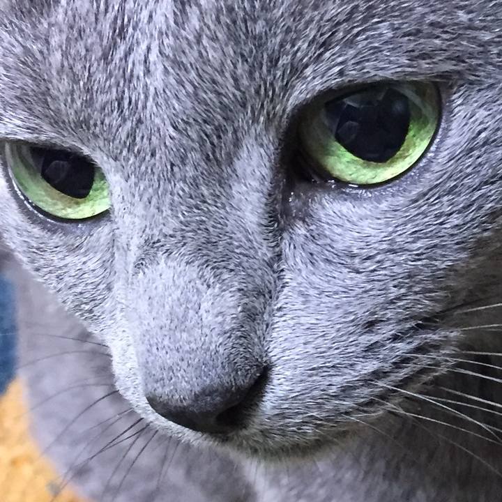 06baa303 a024 41a4 ae1f 7d29e8ab9238