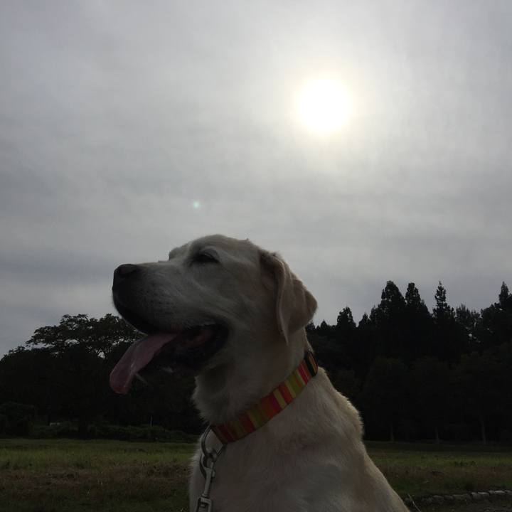 06bade39 0c4e 441a a619 16d34202e01d