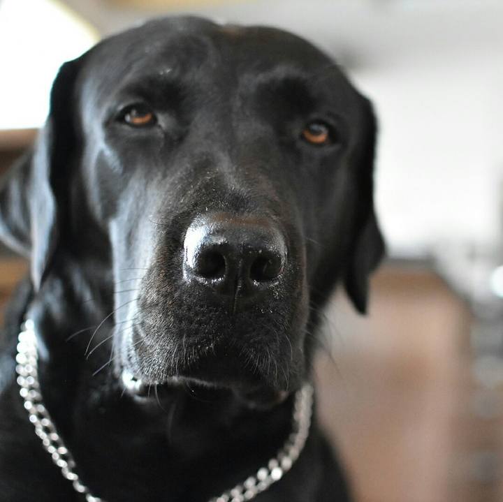 06bb4f34 9308 458d a96e 9924c6077b3c