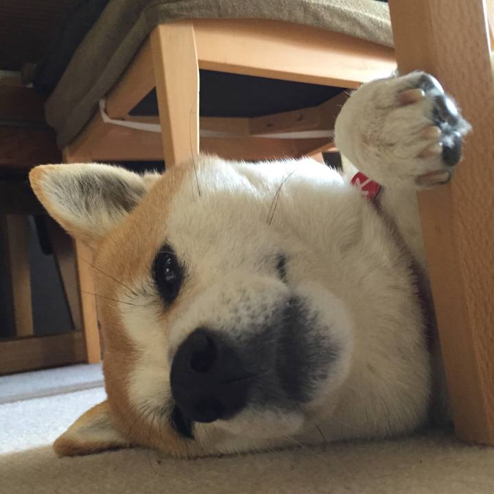 06bbbdd9 a5ce 4fa0 ba23 79f8700e36bc