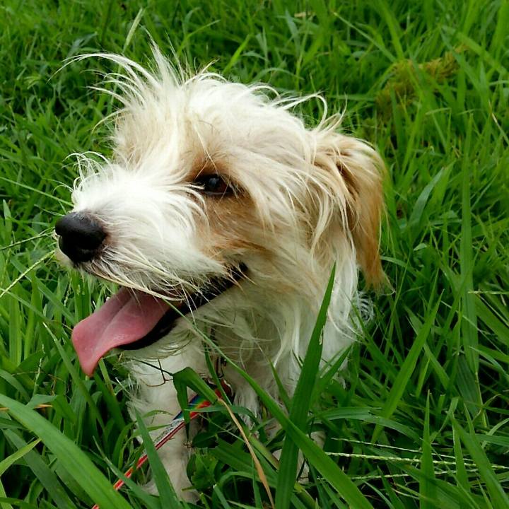 06bbd73b d72c 43ed 9d43 b31f1514f7f9