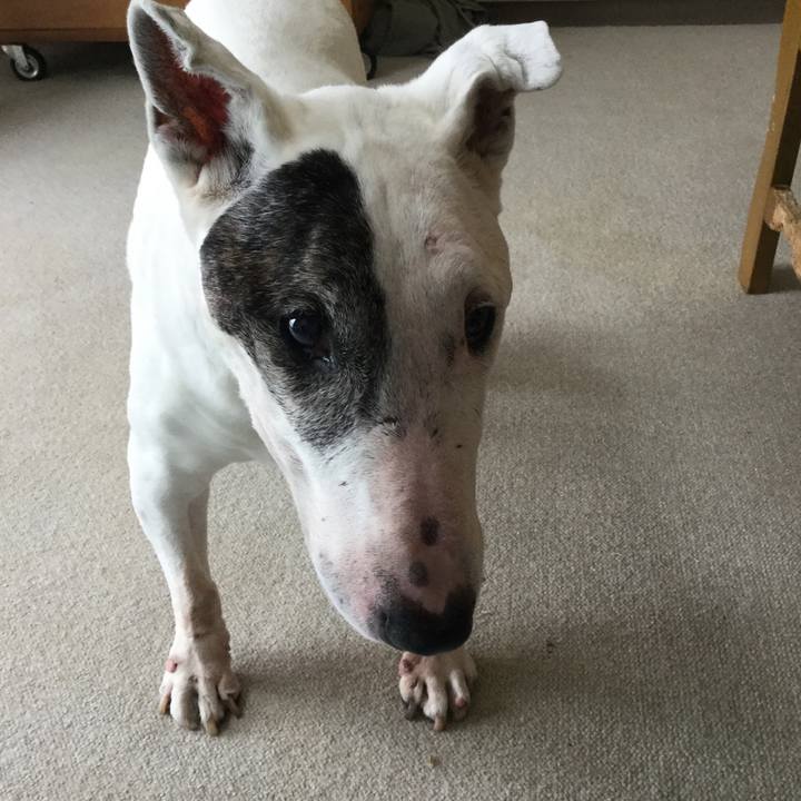 06bc7238 c08b 4a05 bbe3 37a2e70869d4